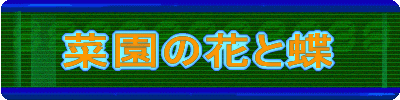 �؉��̉Ԃƒ�